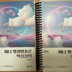 2025 써니 행정법 핵심집약