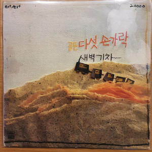 다섯 손가락 베스트 lp