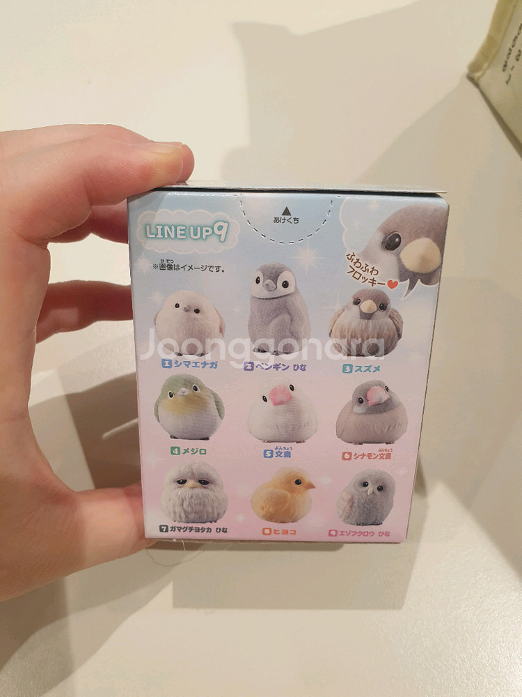 테노리프렌즈 흰오목눈이--1