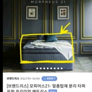 브랜드리스 모피어스21 싱글 매트리스+편백나무 침대받침