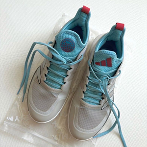 테니스 클레이화