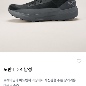 아크테릭스 노반 LD 4 트레일화(러닝화) 270