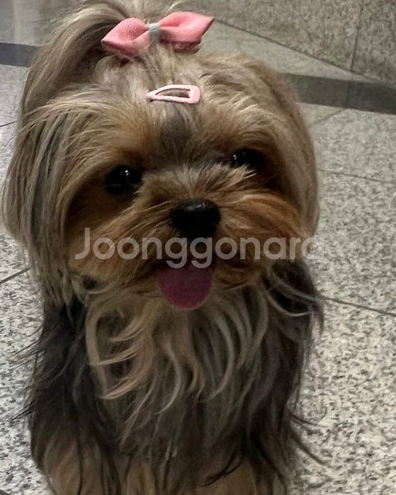 테스트--0