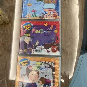 브레인싸인2 DVD 세트