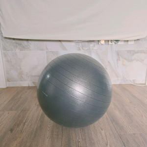 짐볼 55cm