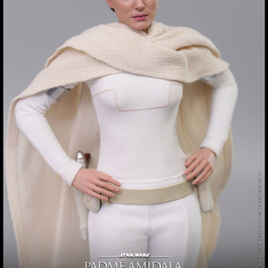 (구매) 핫토이 파드메 구해요