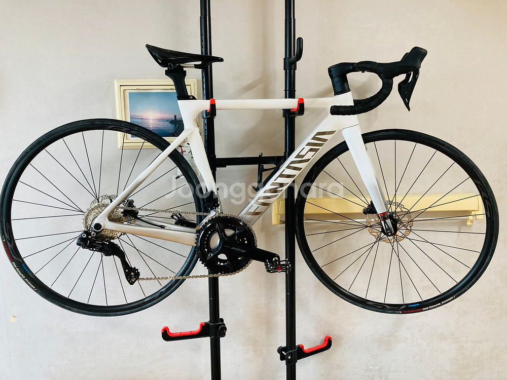 24년식 판타시아 레이다6 105 di2 펄화이트 s--0