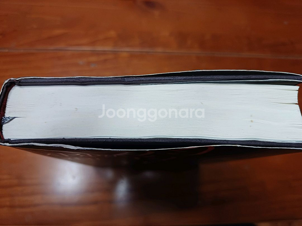 시진핑 평전--1