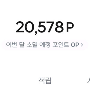 넥슨플레이 2만포인트팝니다