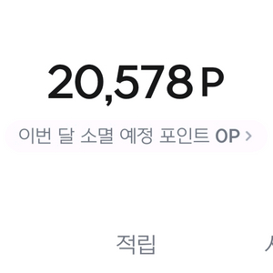 넥슨플레이 2만포인트팝니다