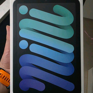아이패드7 미니 128GB 와이파이 팝니다.