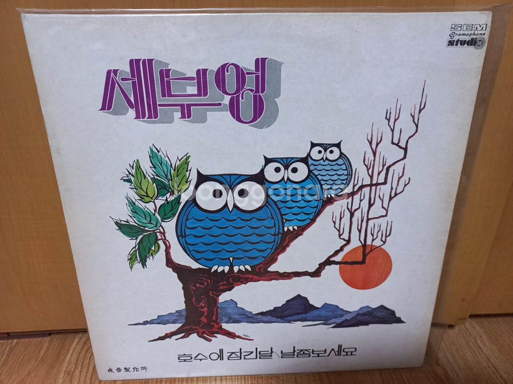 세부엉lp--0