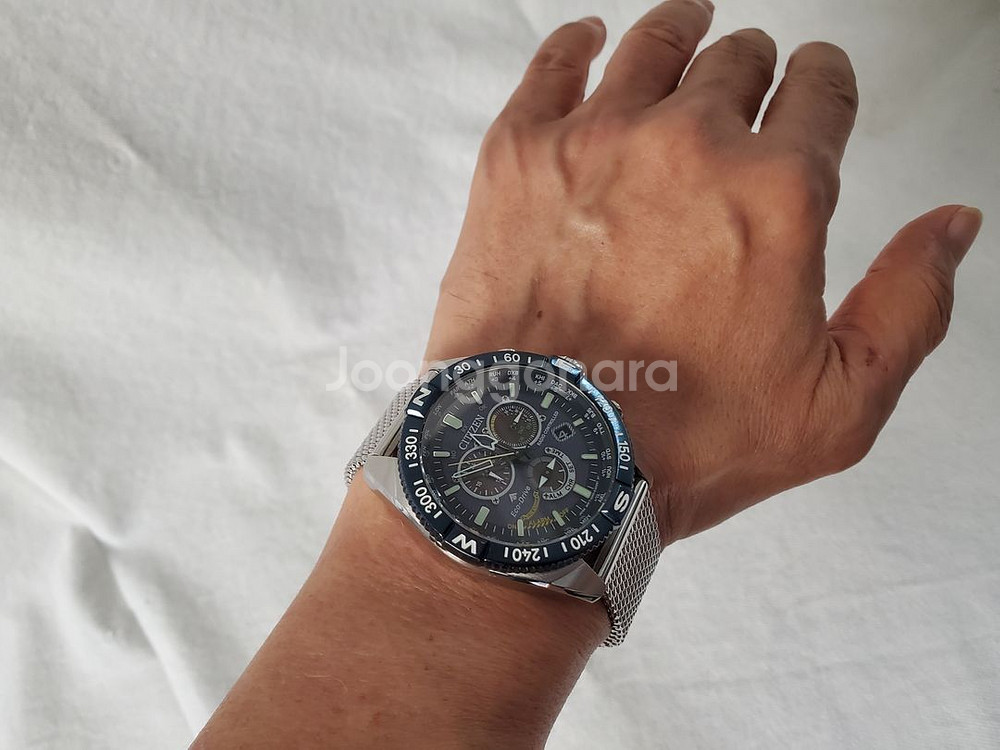 Citizen Promaster Navihawk다이버--5