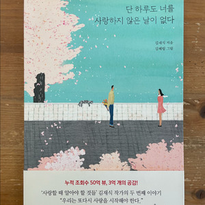 단 하루도 너를 사랑하지 않은 날이 없다 - 김재식