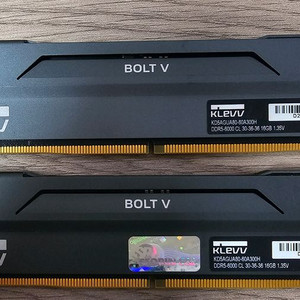 KLEVV Bolt V DDR5 16GB 램 2개