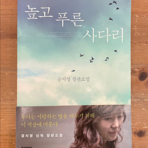 높고 푸른 사다리 - 공지영