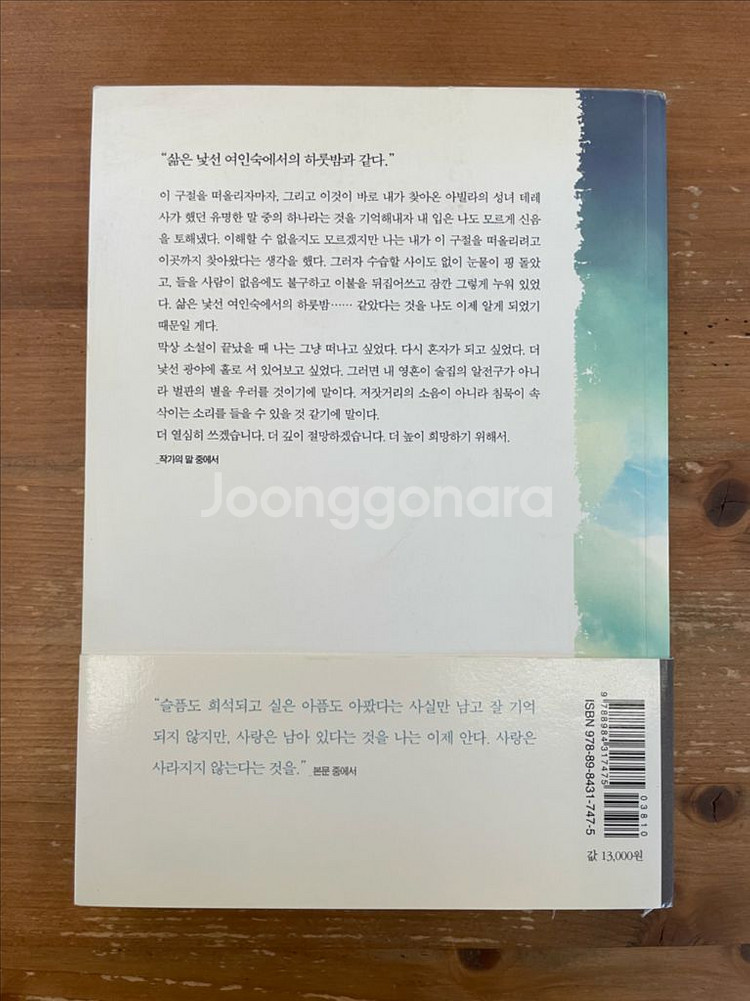 높고 푸른 사다리 - 공지영--1