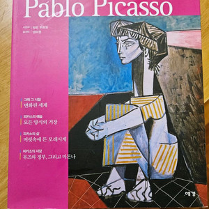 파블로 피카소 그림 프린팅 책