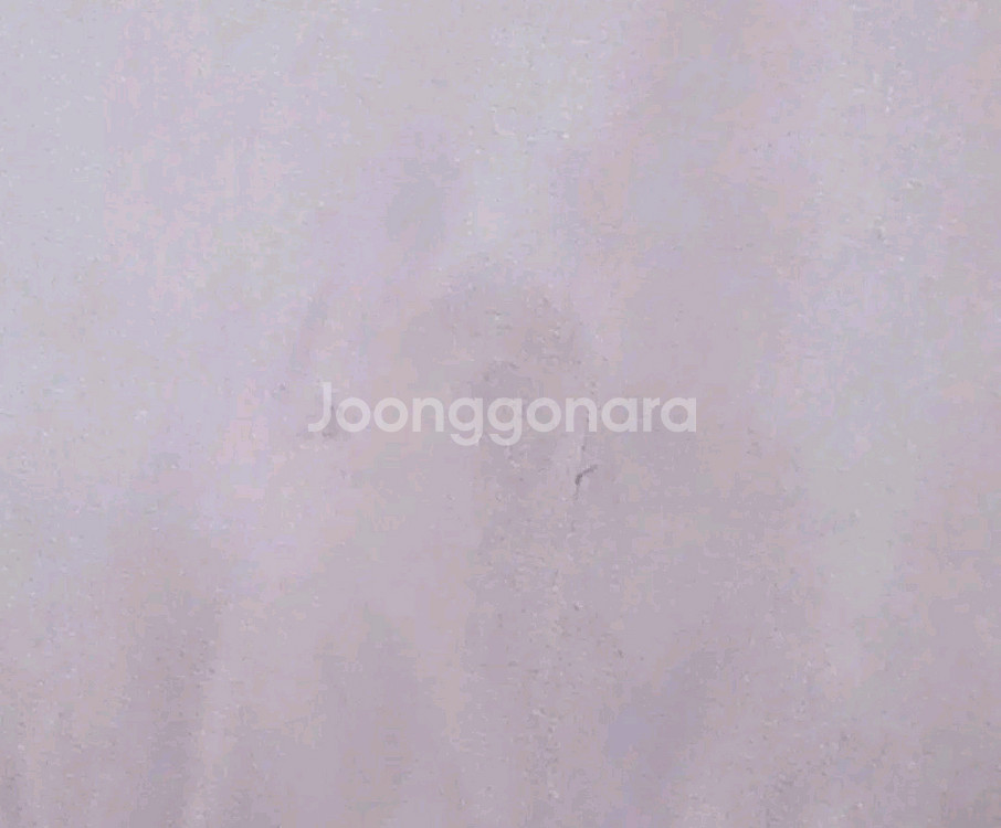 노스페이스 항공점퍼 노스페이스자켓 남녀공용 자켓--4
