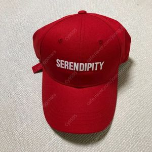 베루툼 삽니다