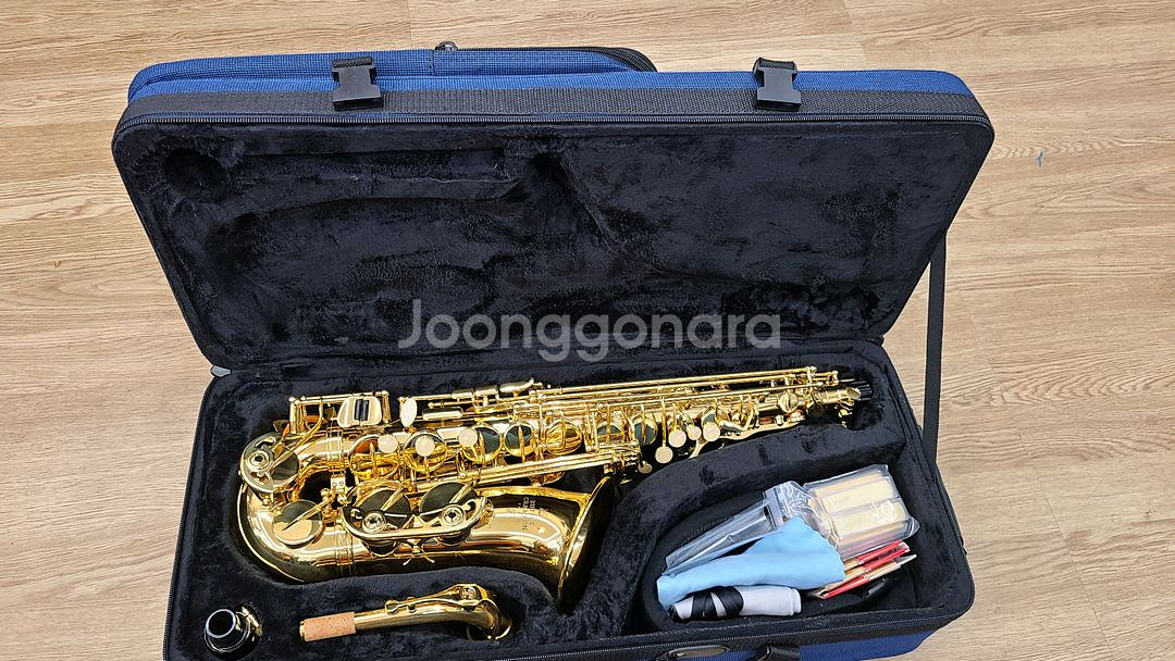부페 입문용 알토 색소폰 팝니다.--0