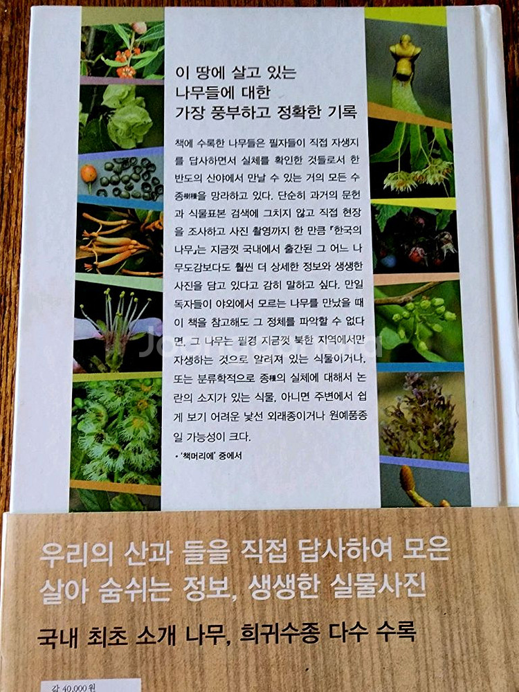 (나무도감)한국의 나무--1