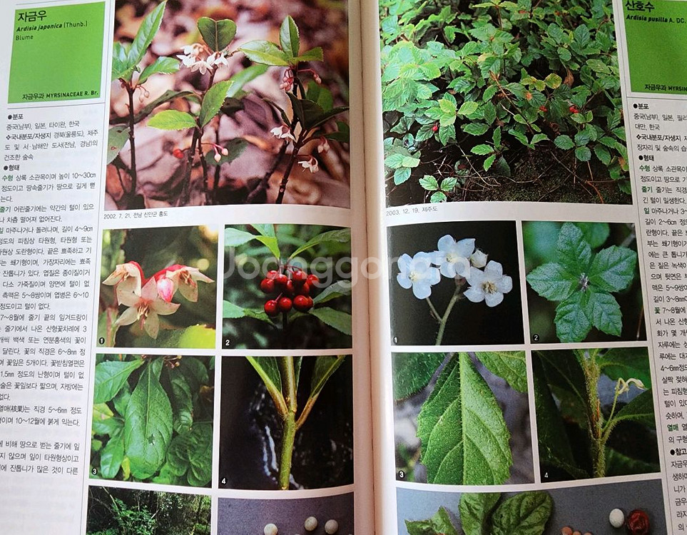 (나무도감)한국의 나무--2