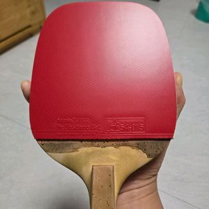 탁구라켓 히비오 투어.펜홀더라켓.
