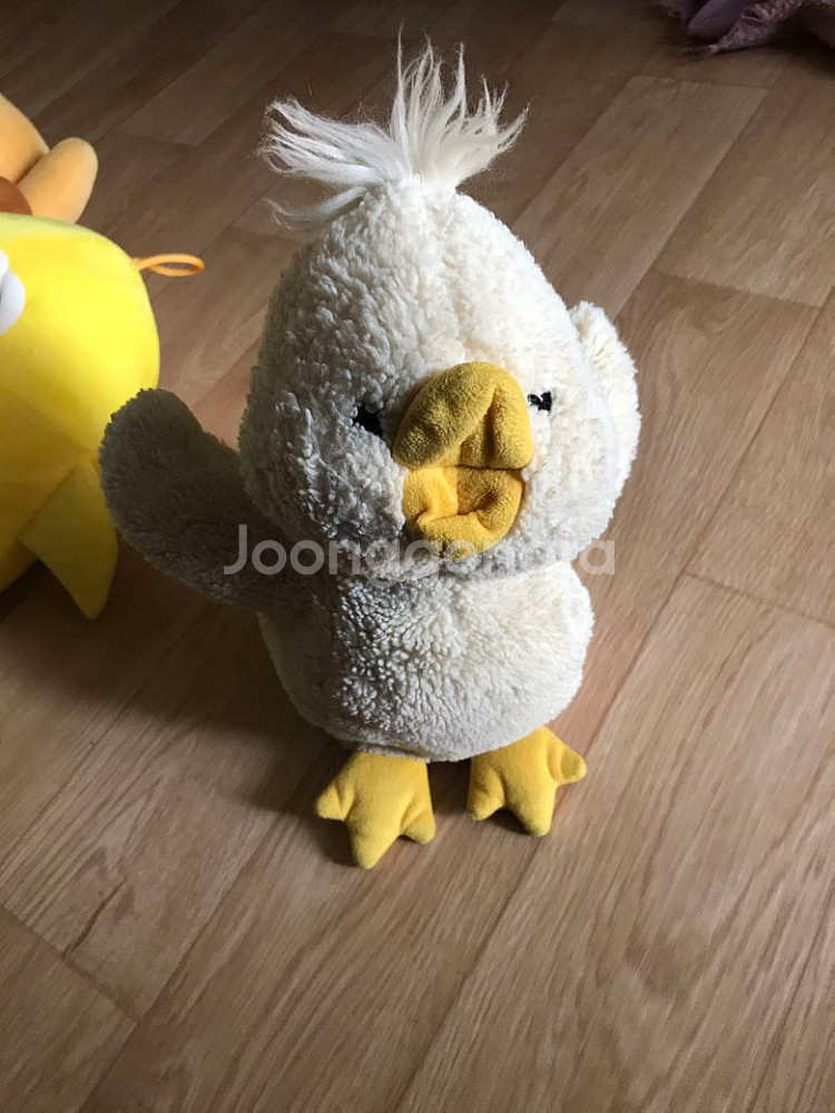 짹짹이 손인형--0