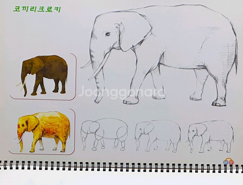 연필뎃생(그림그리기책)수채화그리기/동물크로키 1/2/--2