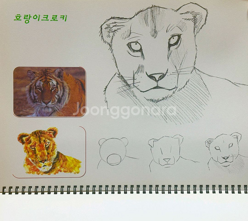 연필뎃생(그림그리기책)수채화그리기/동물크로키 1/2/--3