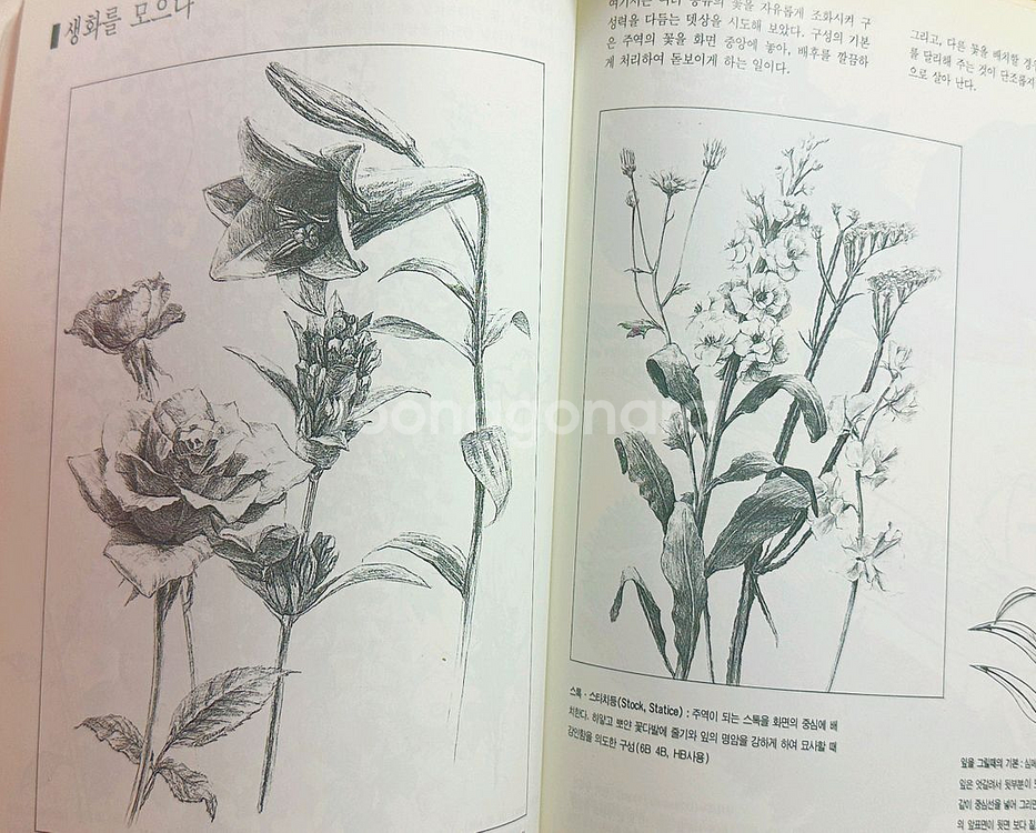 연필뎃생(그림그리기책)수채화그리기/동물크로키 1/2/--6