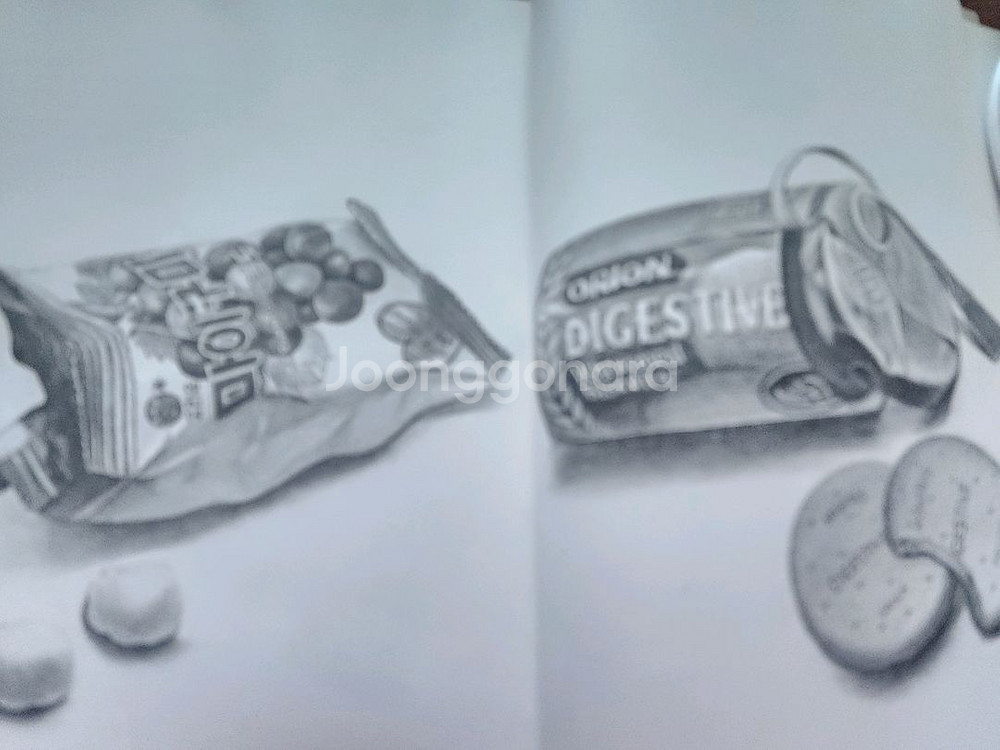 연필뎃생(그림그리기책)수채화그리기/동물크로키 1/2/--9