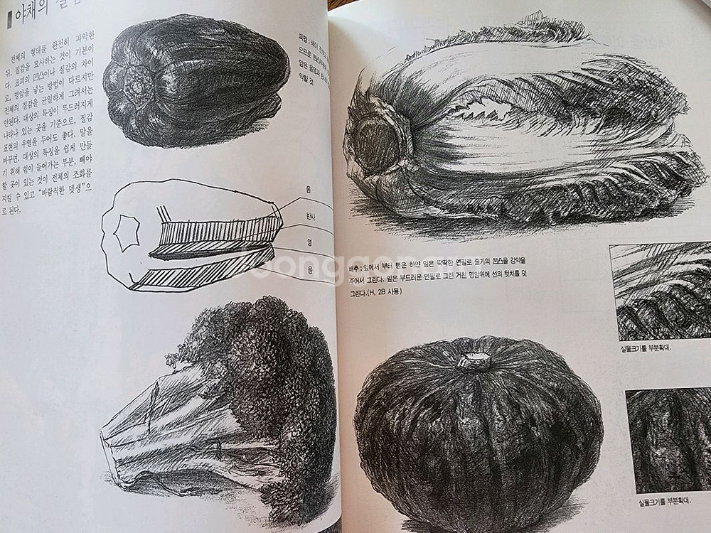 연필뎃생(그림그리기책)수채화그리기/동물크로키 1/2/--8