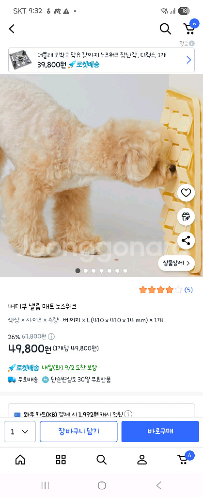 버디부 강아지 노즈워크 식기매트--2