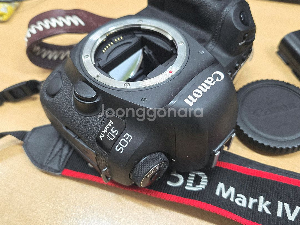 캐논 EOS 5D Mark4--1