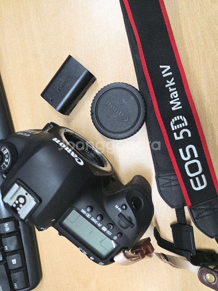 캐논 EOS 5D Mark4--3