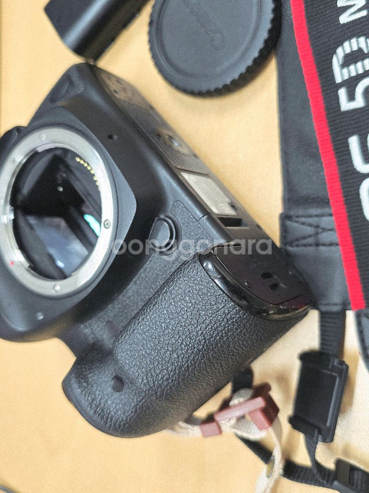 캐논 EOS 5D Mark4--2