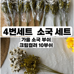 국화 소국 조화꽃 성묘꽃 새상품 택포 2만2천원