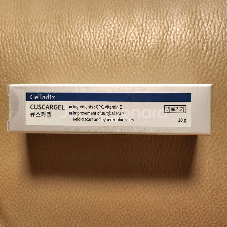 셀라딕스 큐스.카겔 새거--0