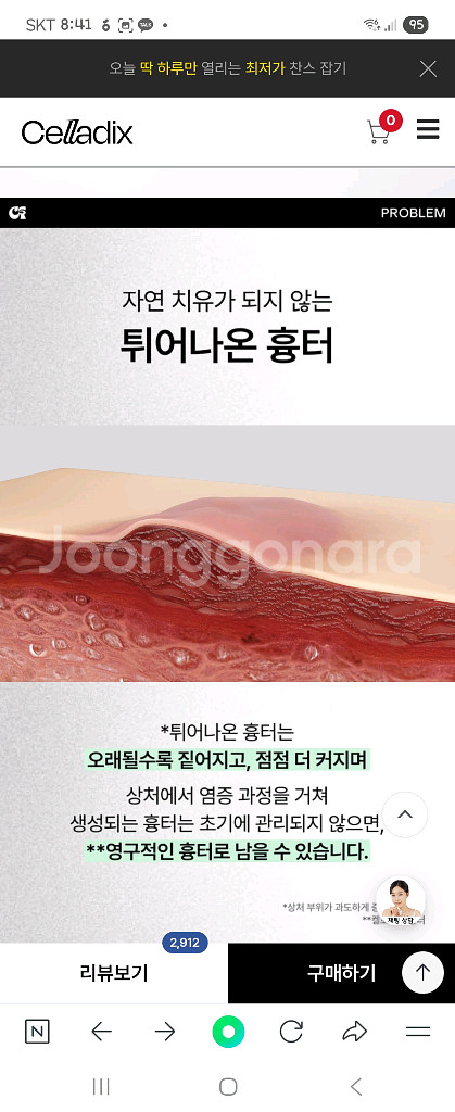 셀라딕스 큐스.카겔 새거--4