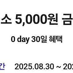 다이소 5,000원 금액권