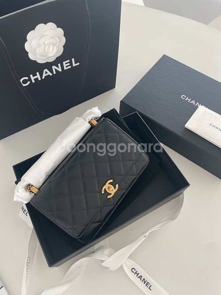 샤넬 체인woc백--0