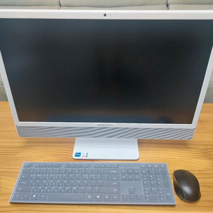 삼성 올인원 일체형 PC (DM530ADA-L58AW)