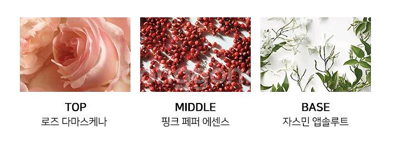 랄프로렌 폴로 로망스 오드퍼퓸 100ml--3
