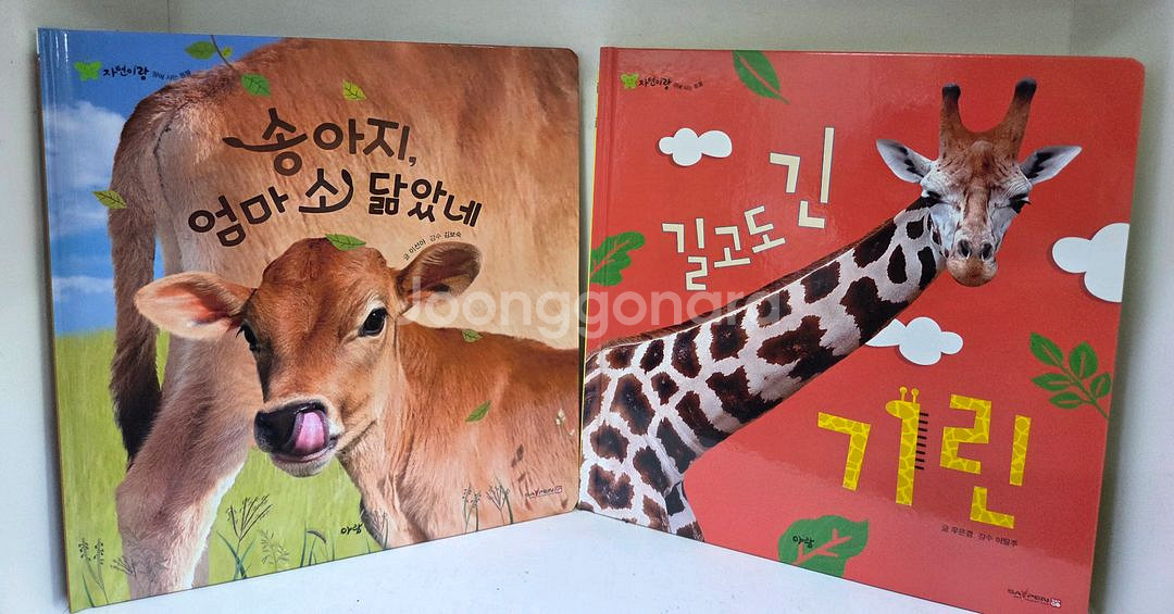 아람ㆍ우리자연이랑ㆍ자연이랑ㆍ컨디션굿--5