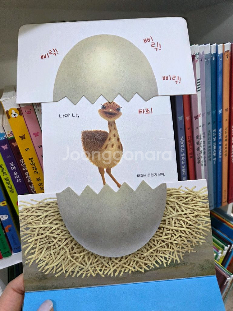 아람ㆍ우리자연이랑ㆍ자연이랑ㆍ컨디션굿--6