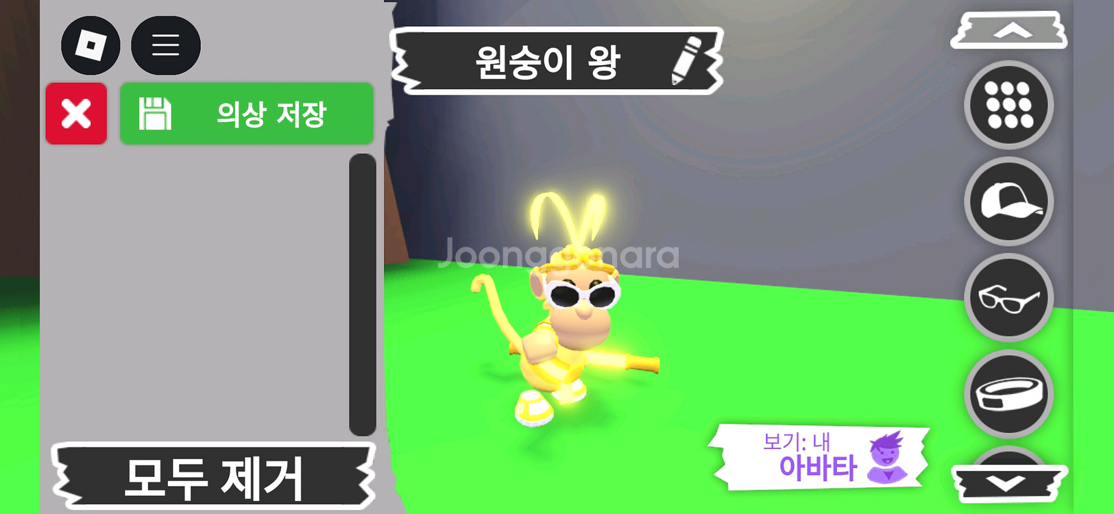 입양하세요 펫 메가네온 원숭이 왕(메킹몽)판매합니다--0