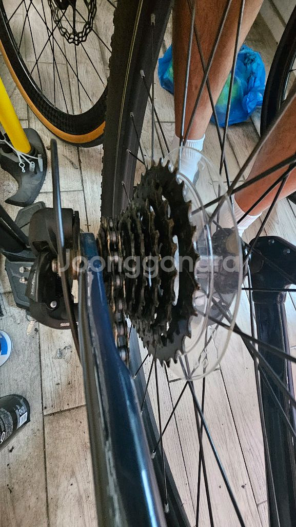 TREK PRECALIBER (트렉 프리칼리버)--2