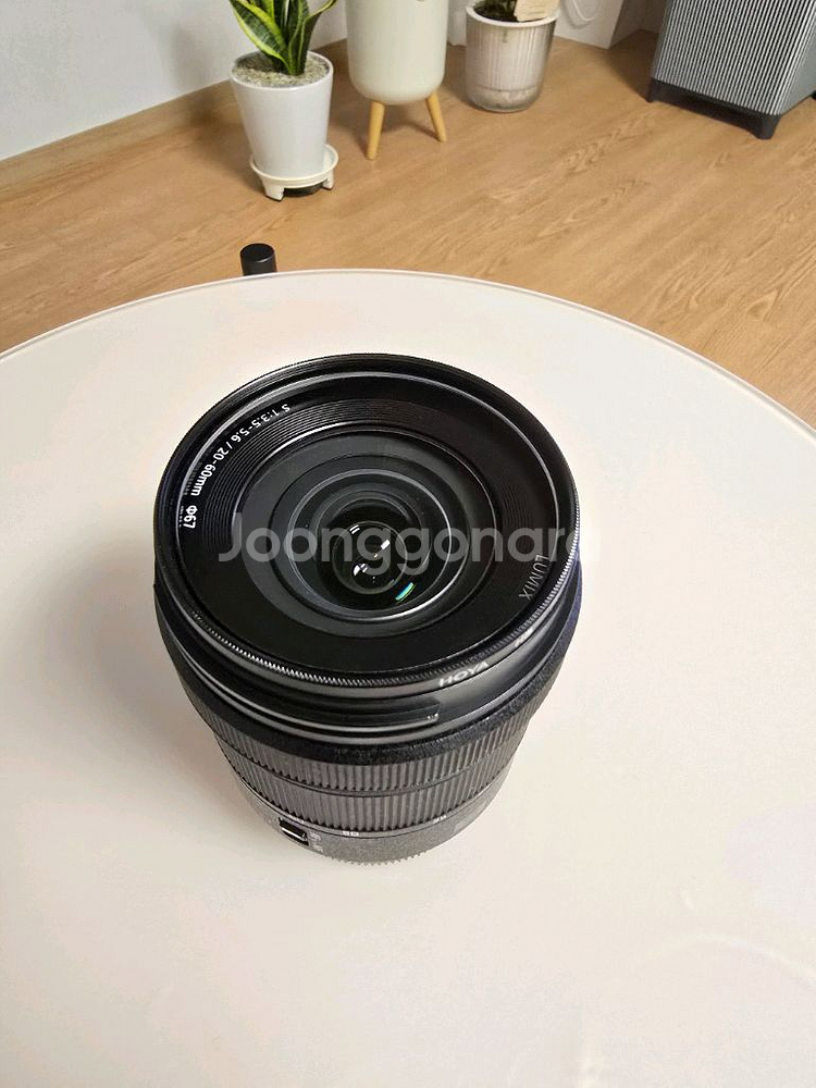 파나소닉 루믹스 s20-60 L마운트--1